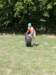 dsc50713_small.jpg
