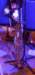 jaaruitvoering2023_088_small.jpg